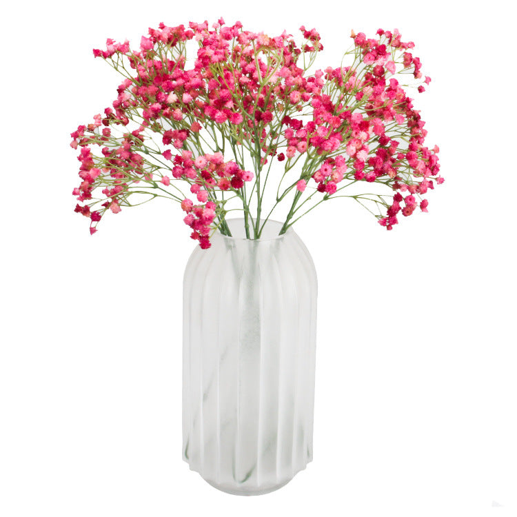 babysbreath010
