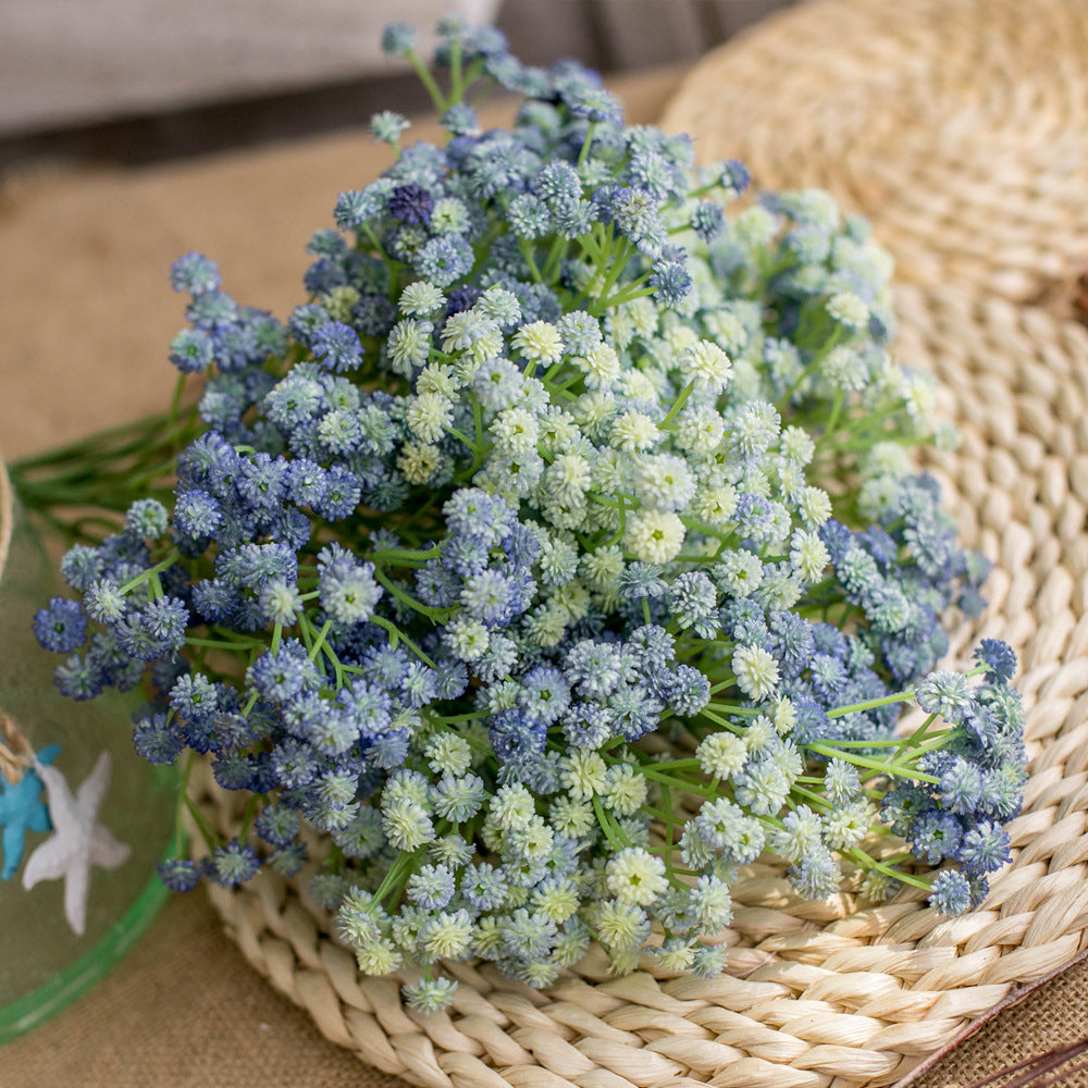babysbreath013