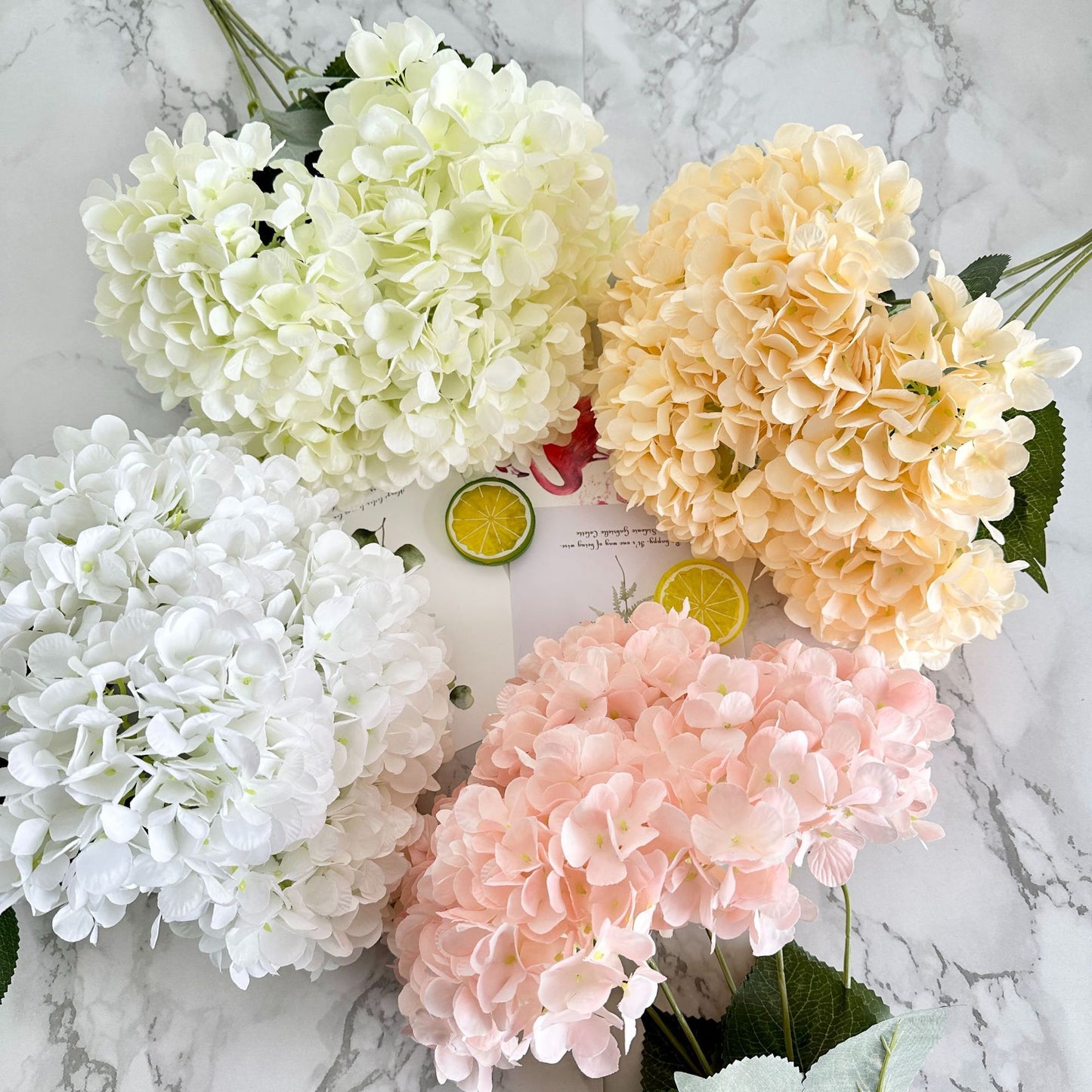 H0035 Hydrangea