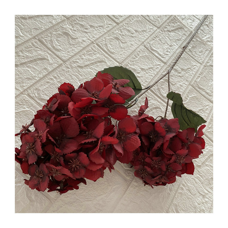 H0030 Hydrangea