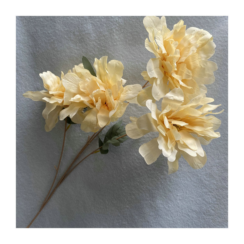 P0035 Peony