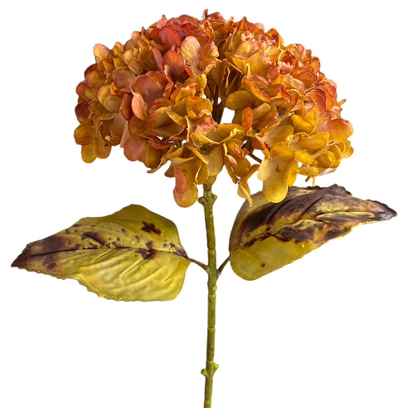 H0043 Hydrangea