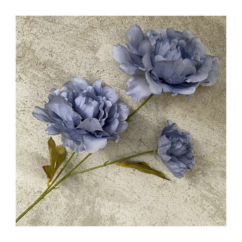 P0016 Kazino Peony