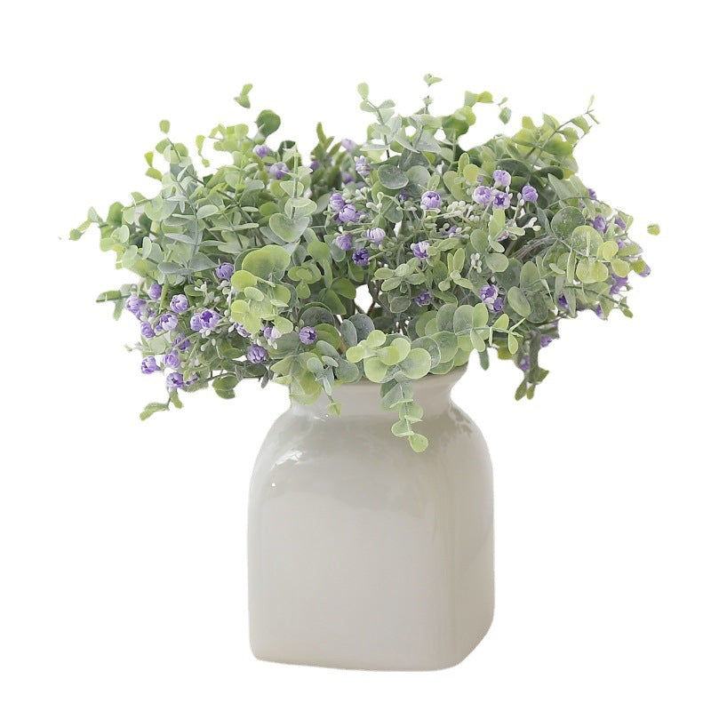babysbreath020