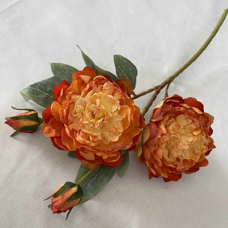P0033 Peony
