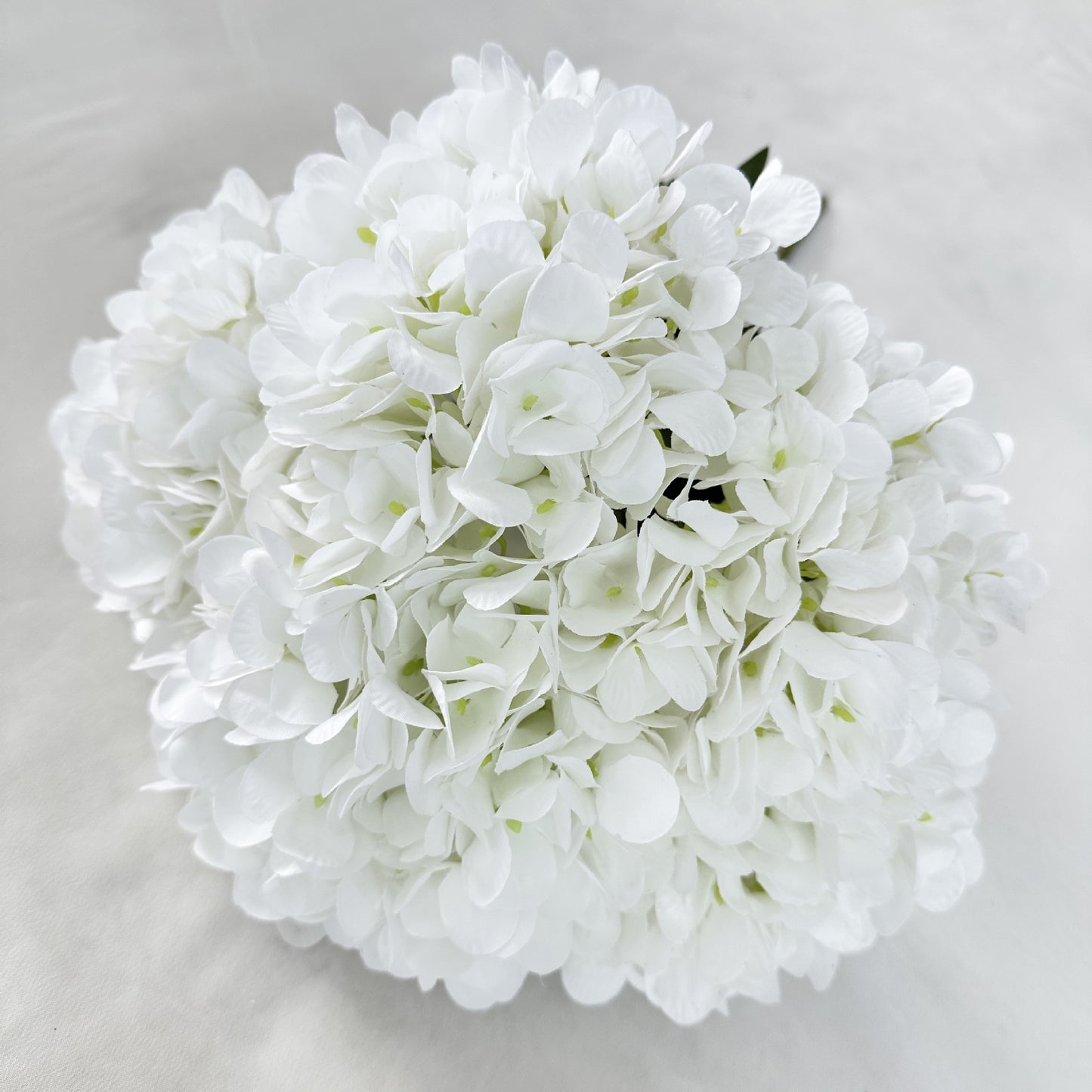 H0035 Hydrangea