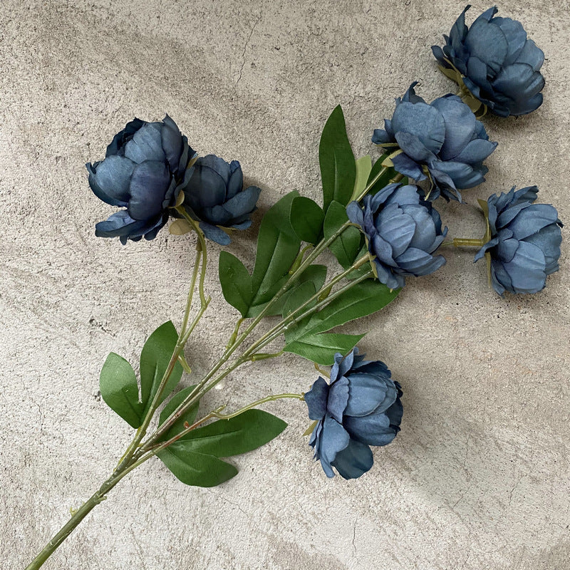 P0018 Seven-headed Peony