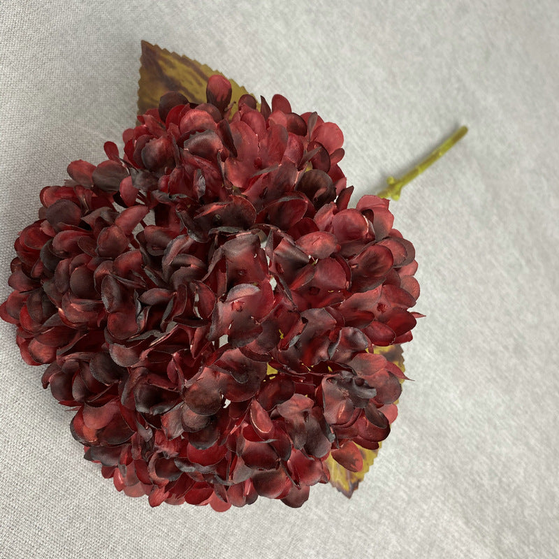 H0043 Hydrangea