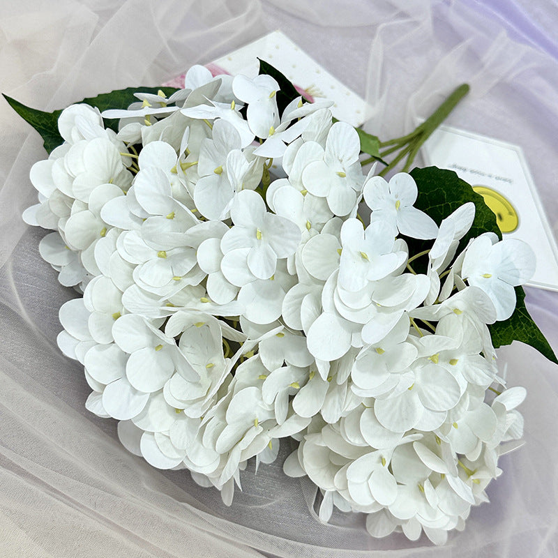 H0015 Hydrangea