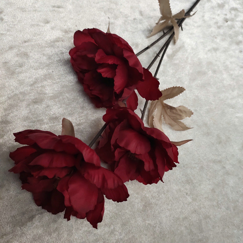 P0020 European style three-headed peony