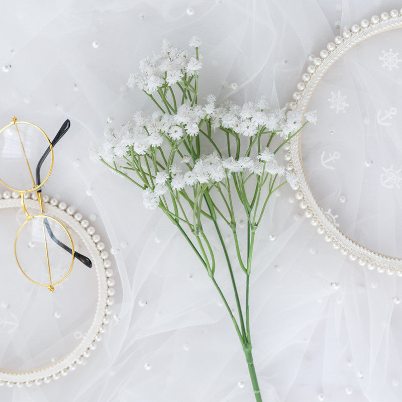 babysbreath014