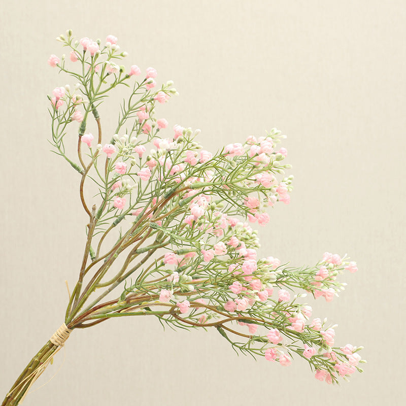 babysbreath021