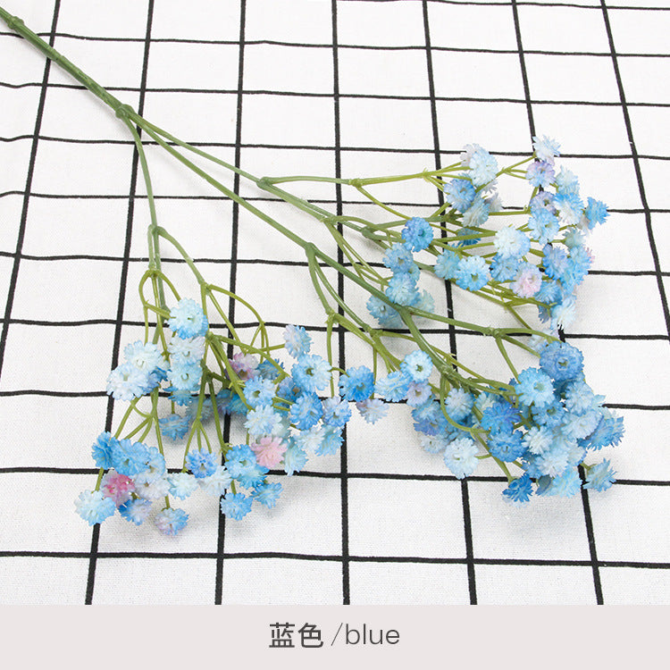 babysbreath010
