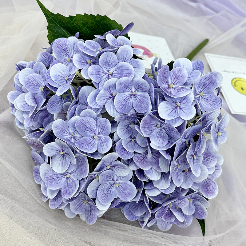 H0015 Hydrangea