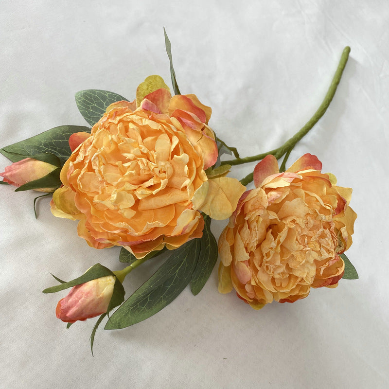 P0033 Peony