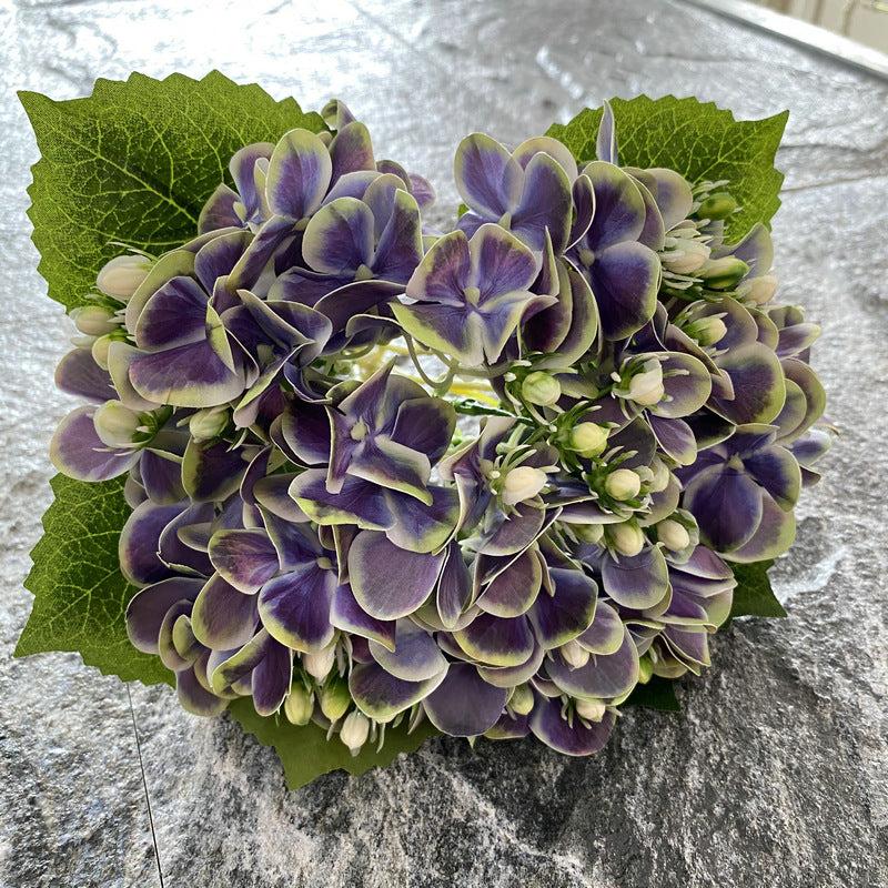 H0044 Hydrangea