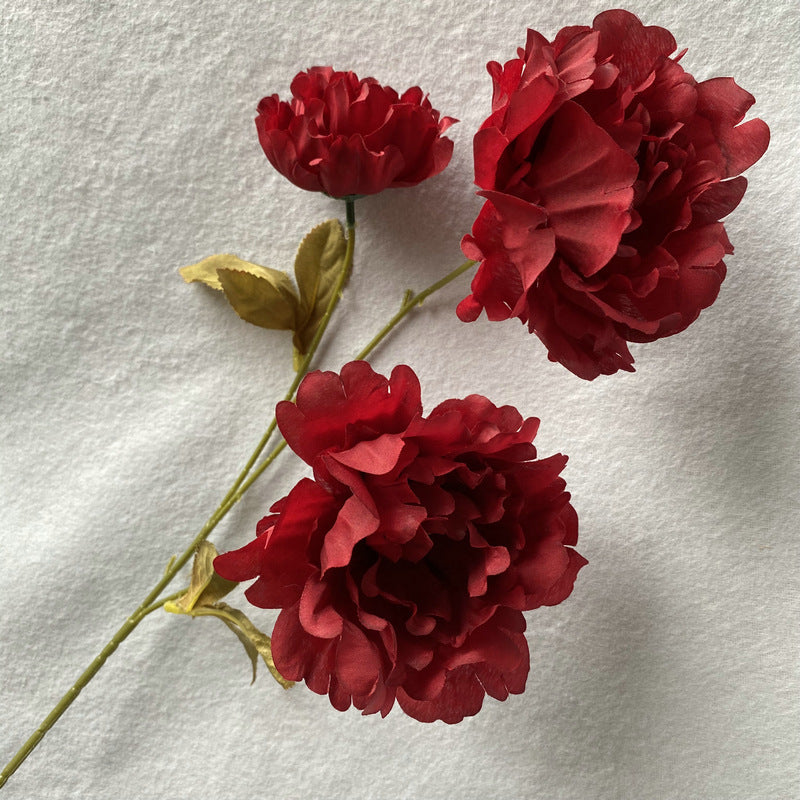 P0016 Kazino Peony