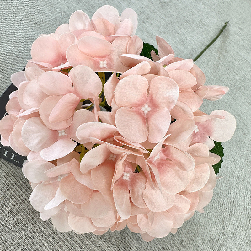 H0050 Hydrangea
