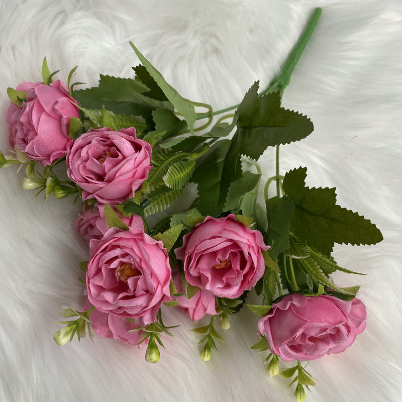 P0024 New Gypsophila Peony