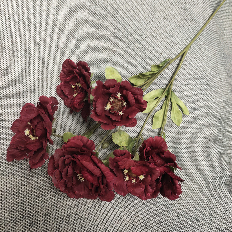 P0034 Peony