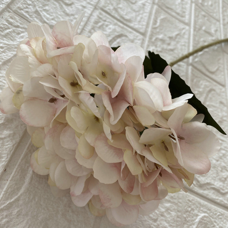 H0038 Hydrangea