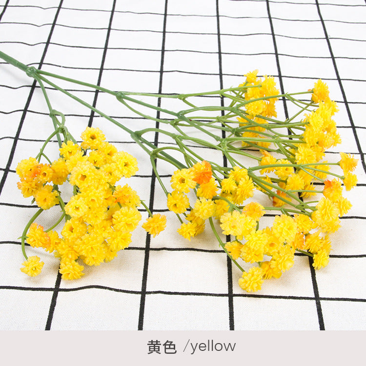 babysbreath010