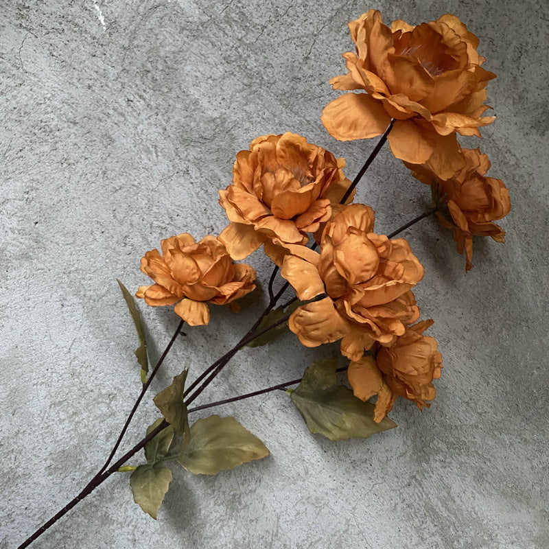 P0022 Six-headed Peony with Hundred Antlers