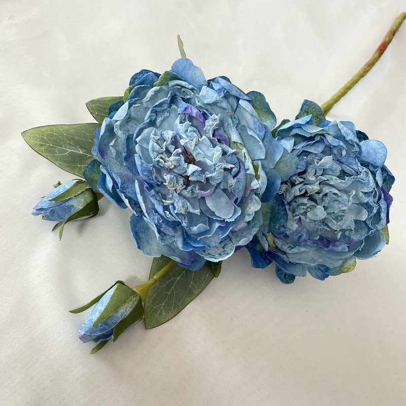 P0033 Peony