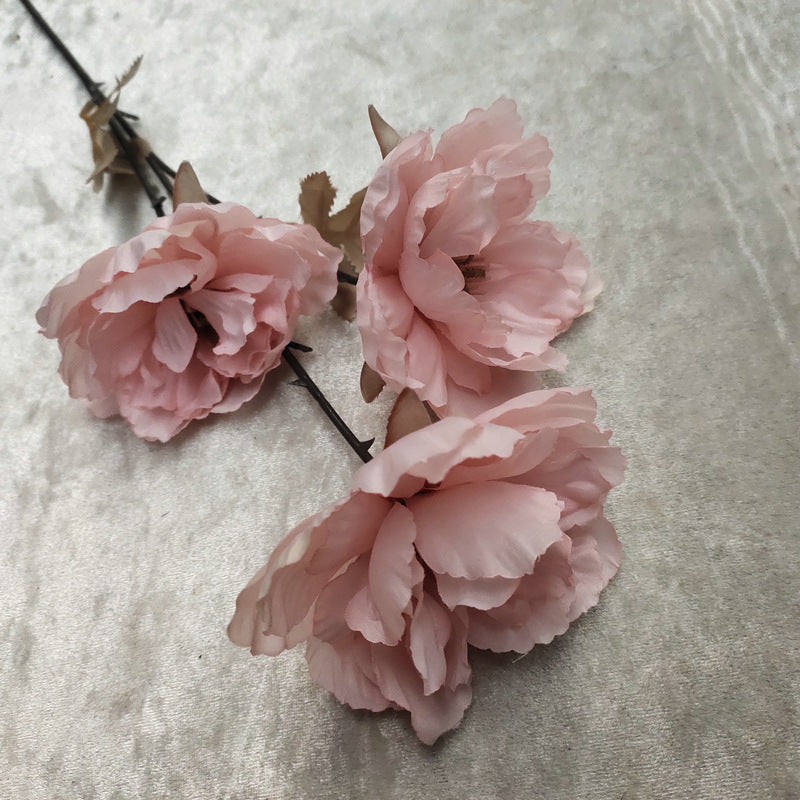 P0020 European style three-headed peony