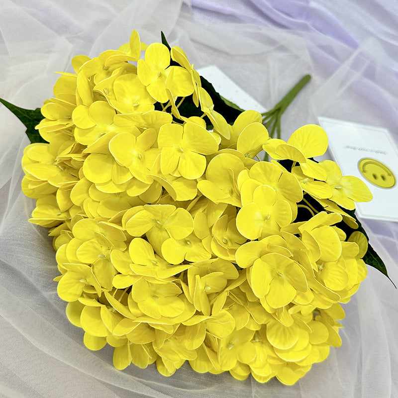 H0015 Hydrangea