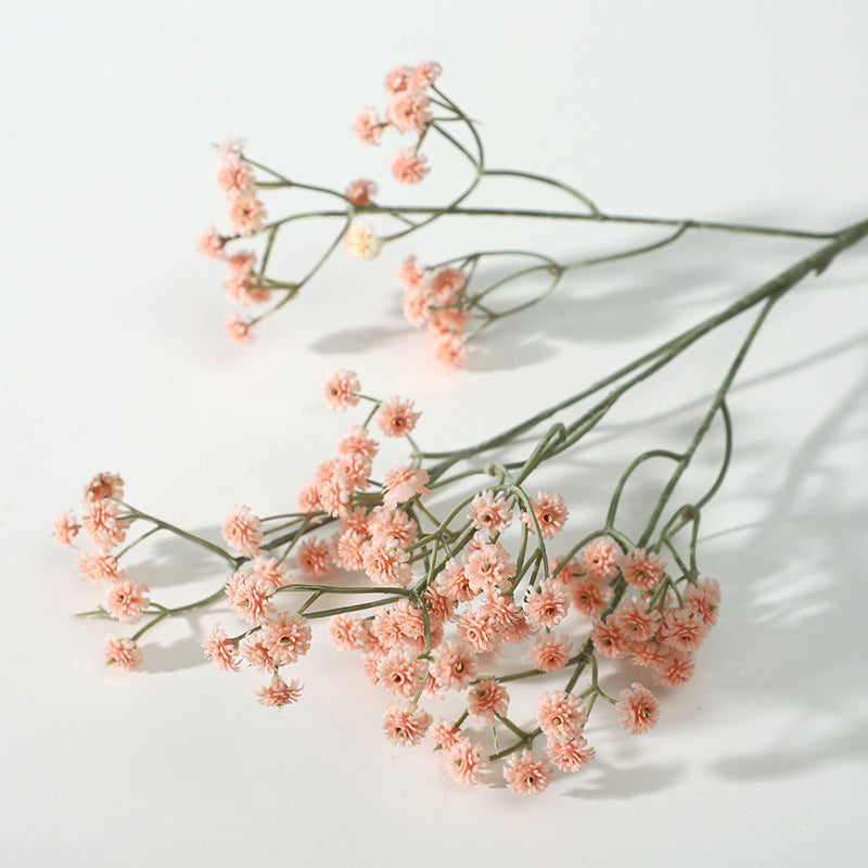 babysbreath018