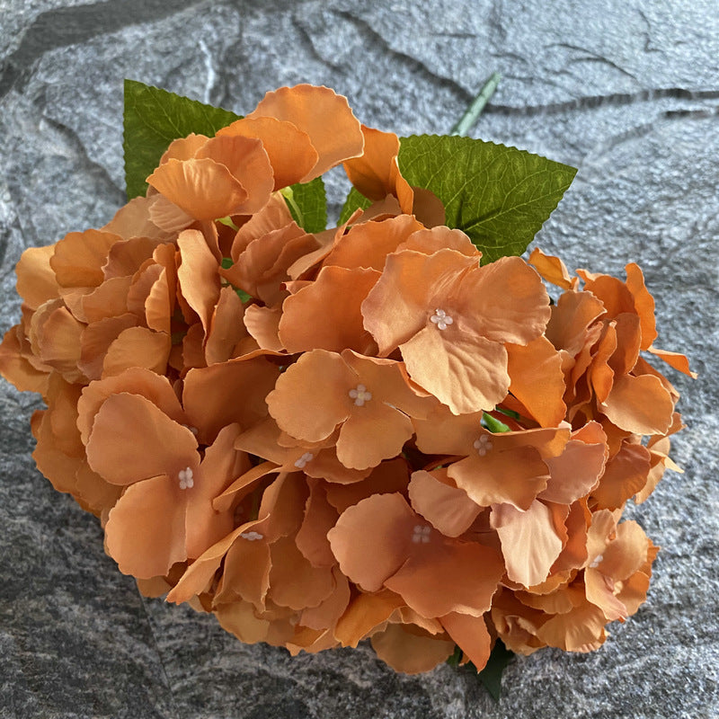 H0024 Hydrangea