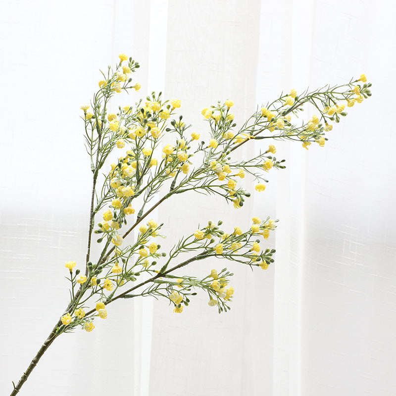babysbreath016