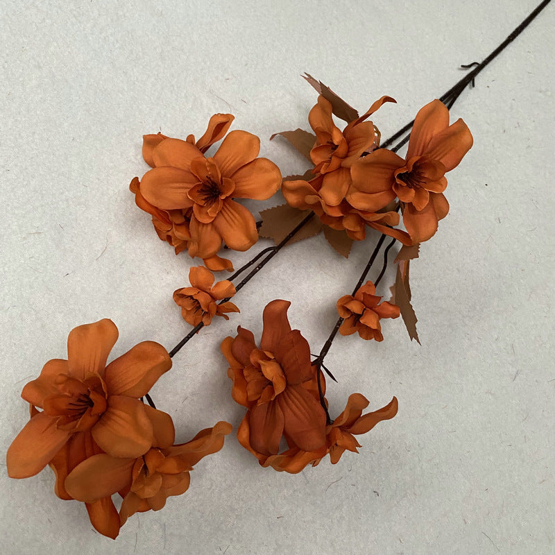 O0007 Brushed cloth freesia phalaenopsis