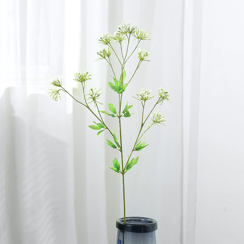 babysbreath023