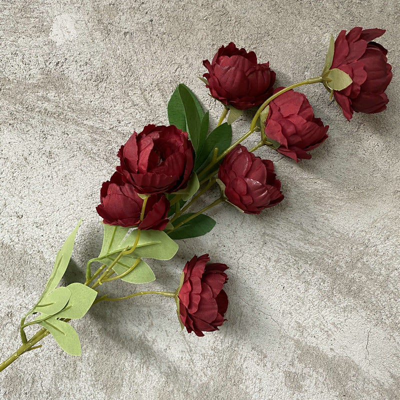 P0018 Seven-headed Peony
