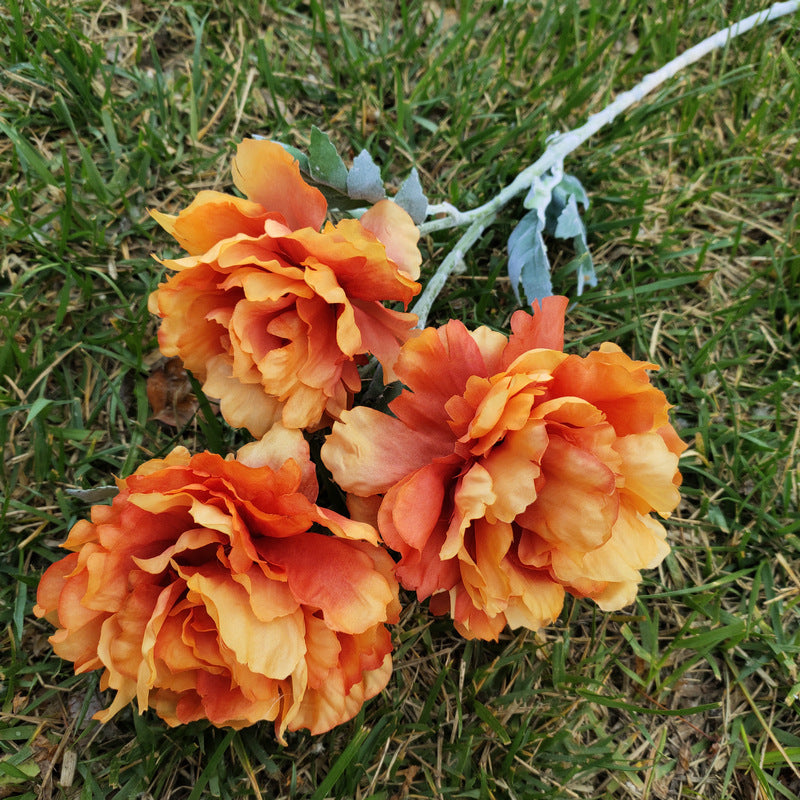 P0050 Three peonies and peonies