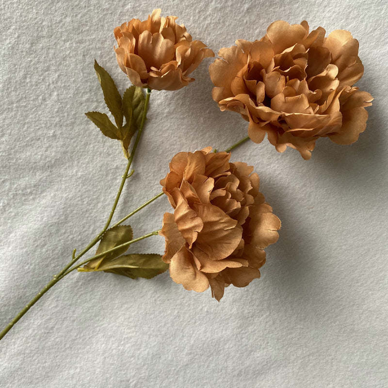 P0016 Kazino Peony