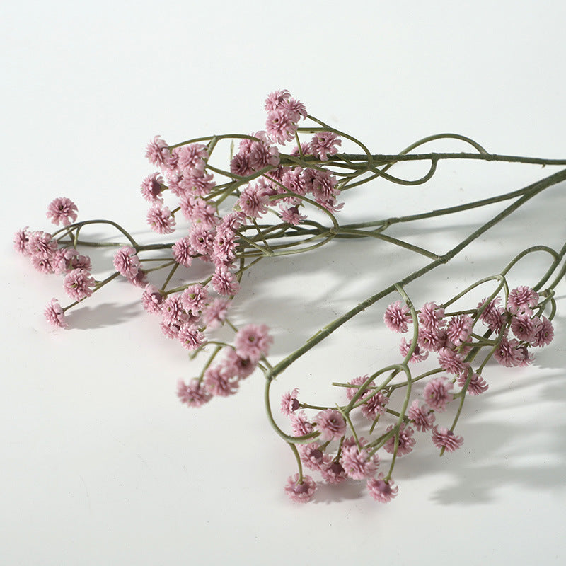 babysbreath018