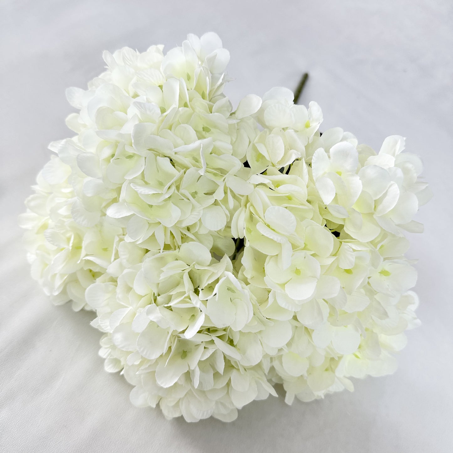 H0035 Hydrangea