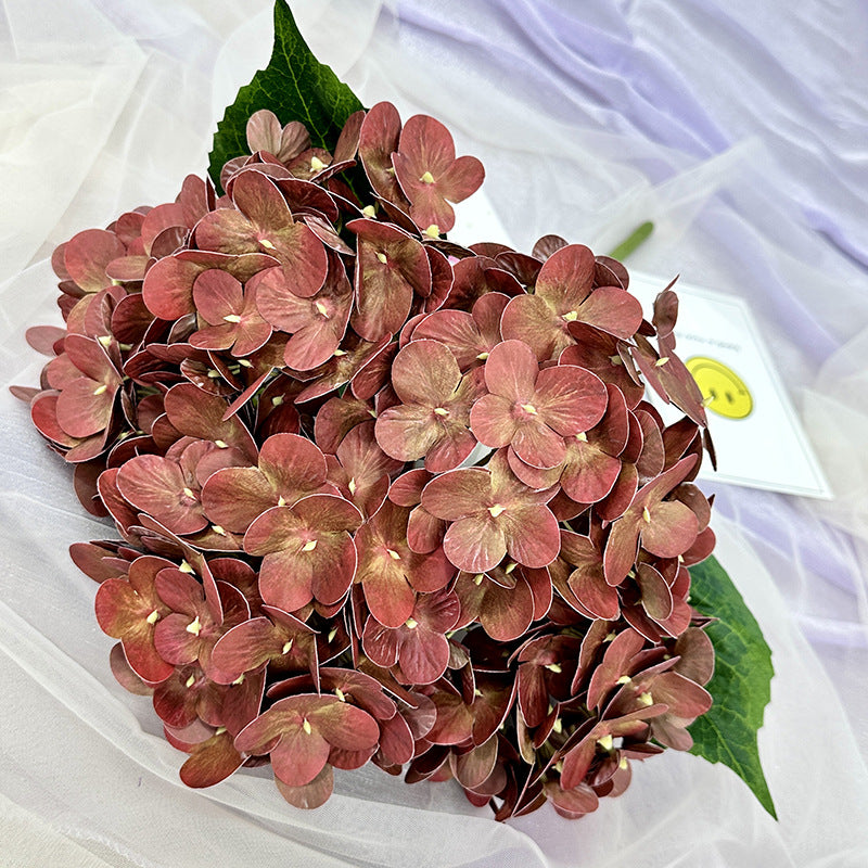 H0015 Hydrangea