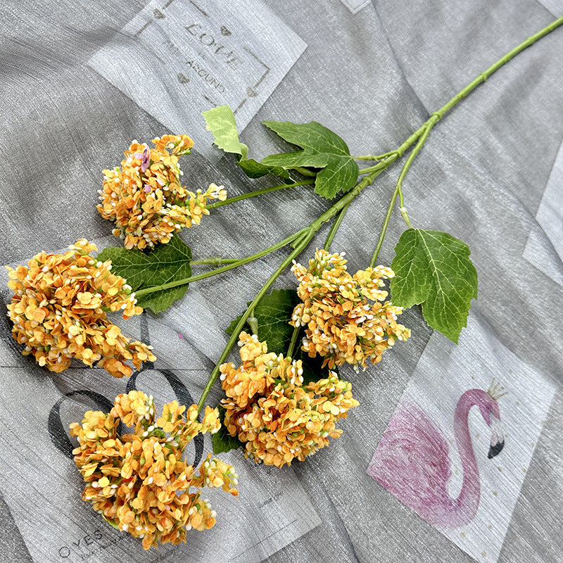 H0005 Hydrangea