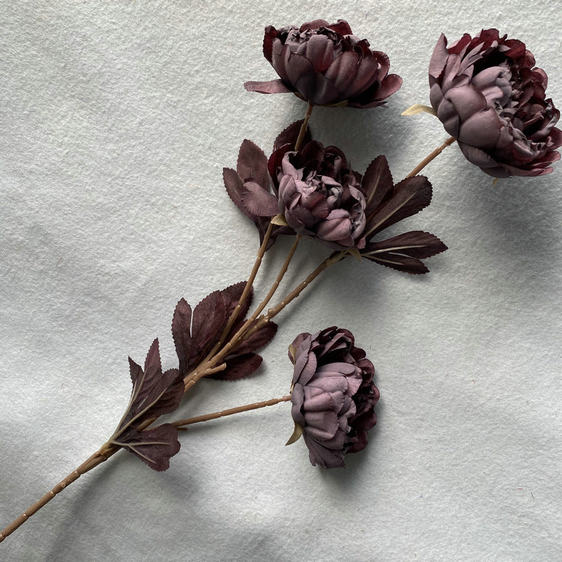 P0037 Four-headed Imperial Peony
