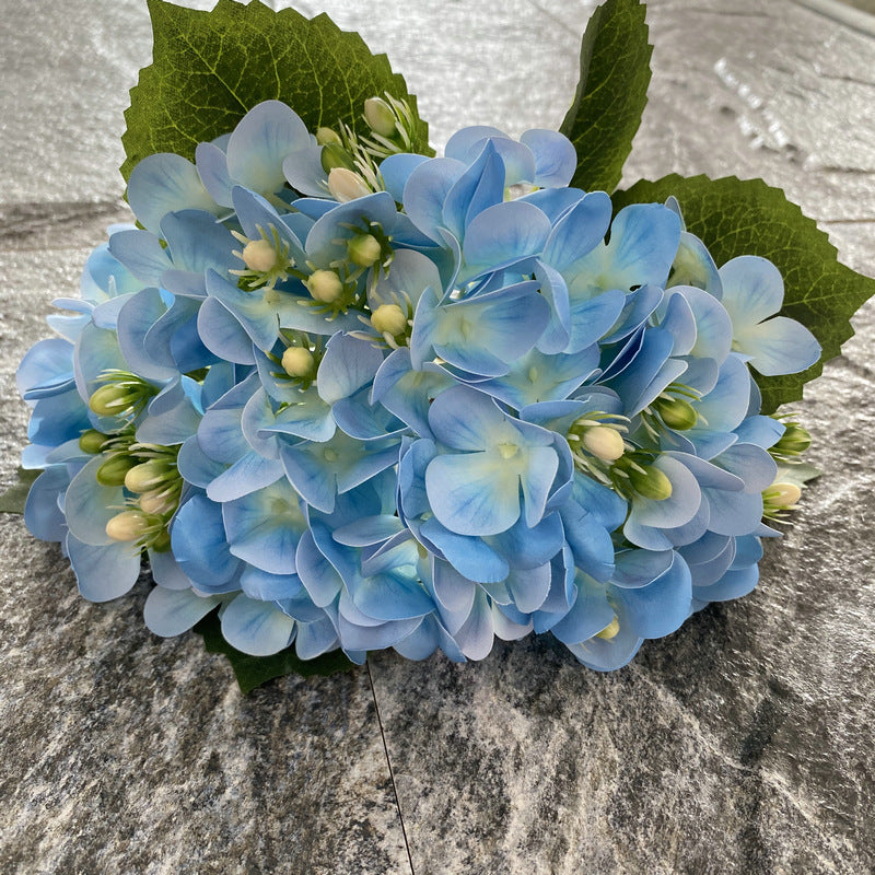 H0044 Hydrangea