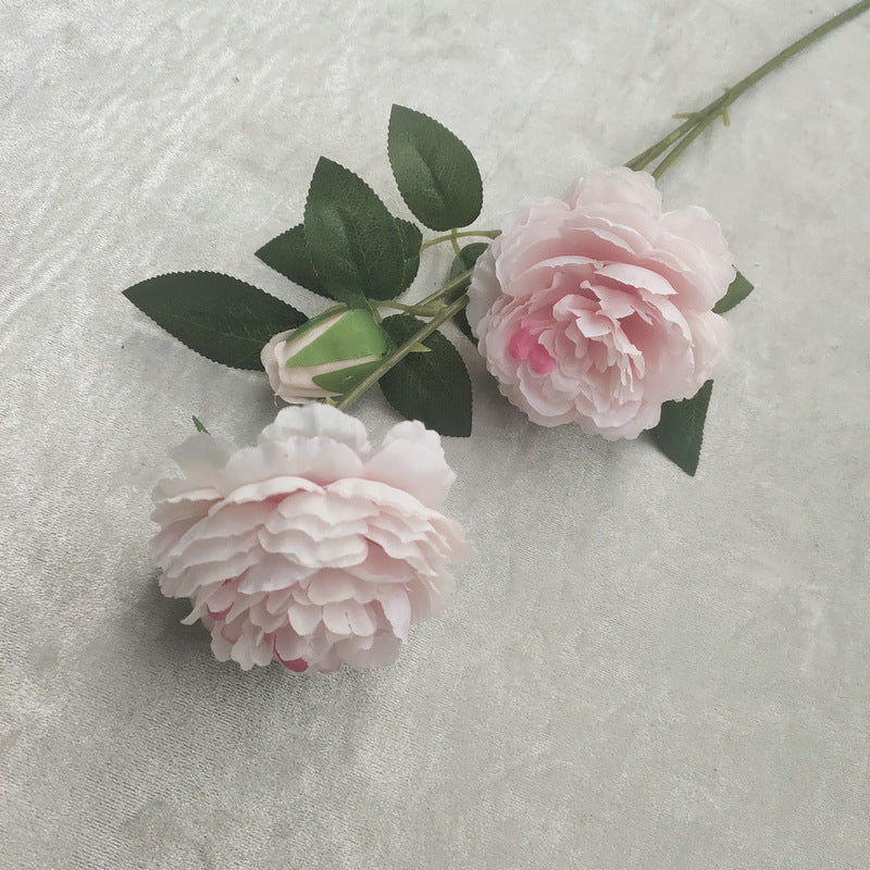 P0023 Three-headed peony
