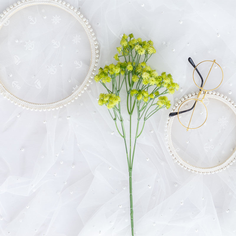 babysbreath014