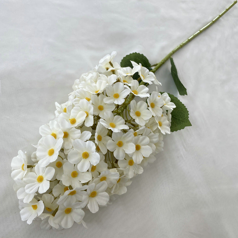 H0041 Hydrangea