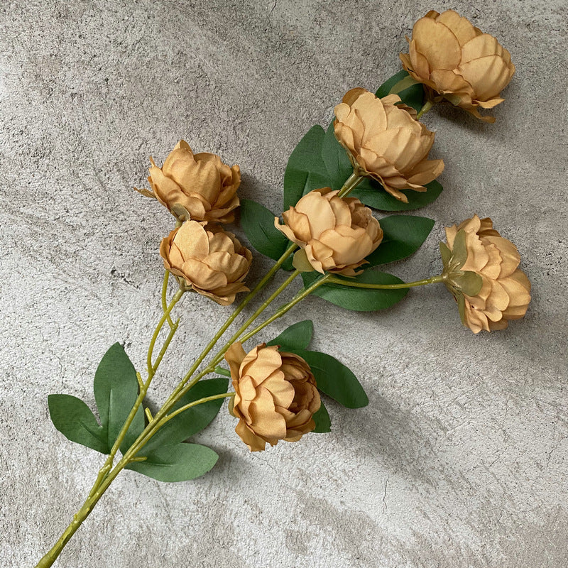P0018 Seven-headed Peony