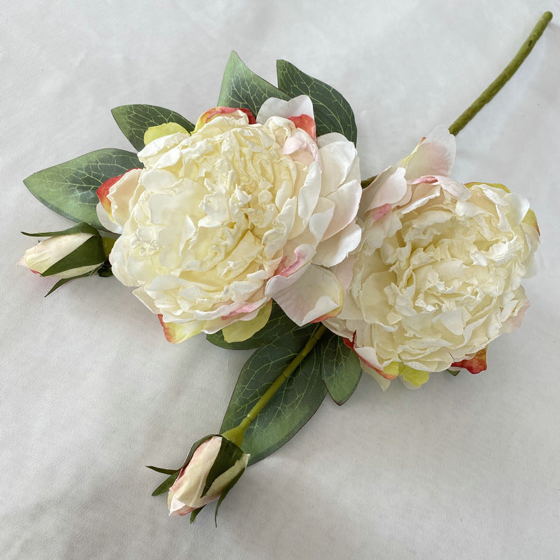 P0033 Peony