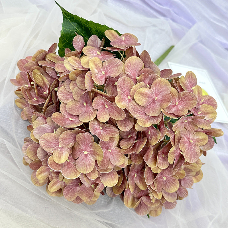 H0015 Hydrangea